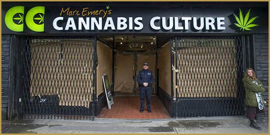 Emery,Erin Goodwin,canada,raid,Cannabis Culture