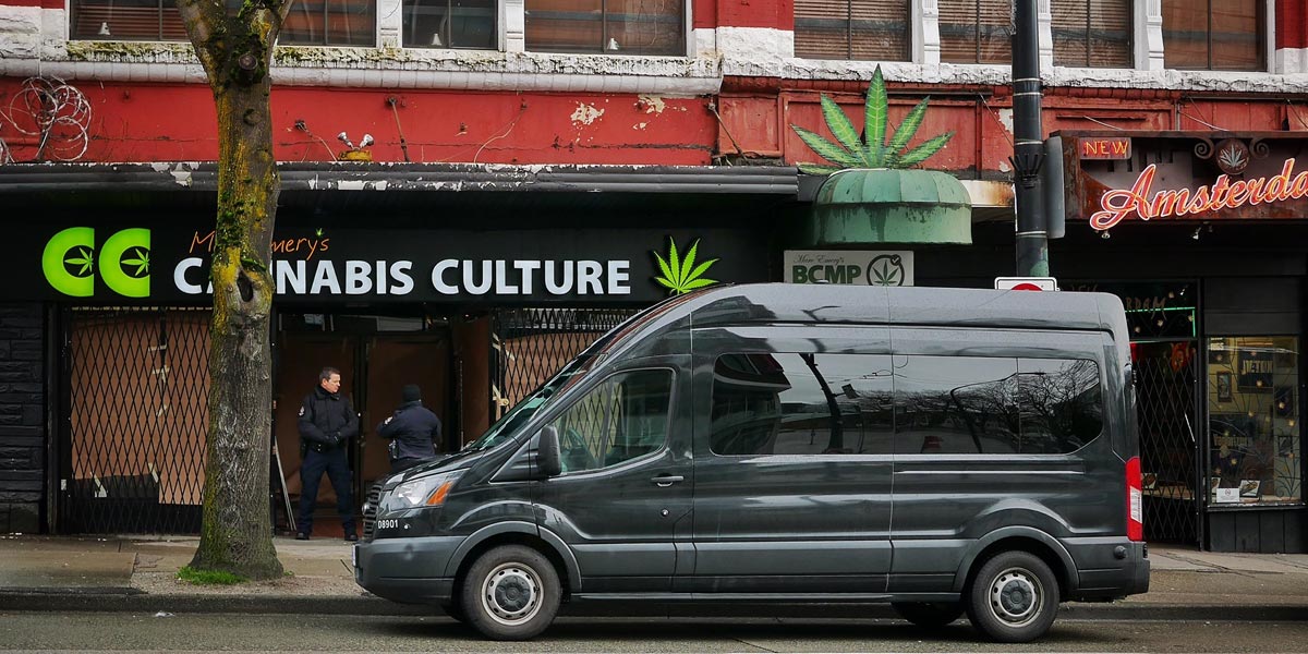 les raids contre cannabis culture continuent 4