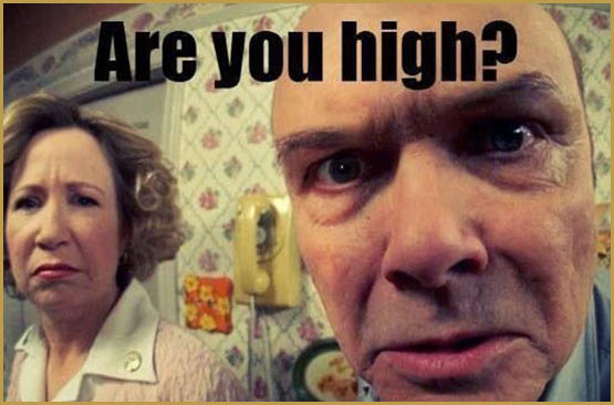 Le CBD lors d'un dépistage de stupéfiant