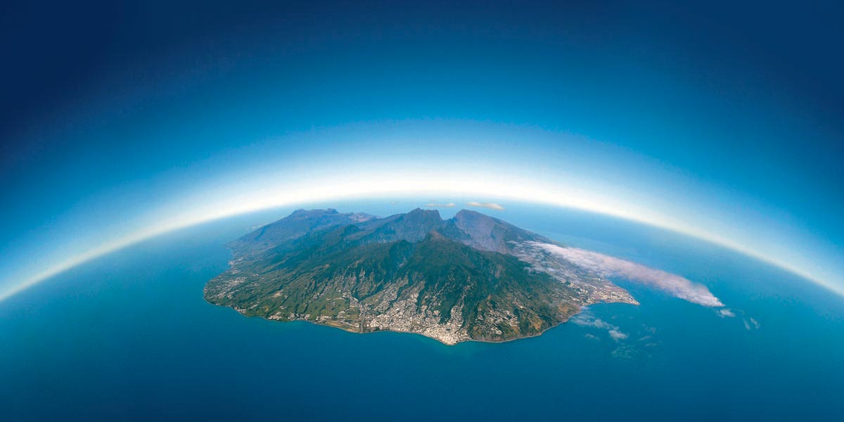 le zamal le cannabis sativa de la réunion 7