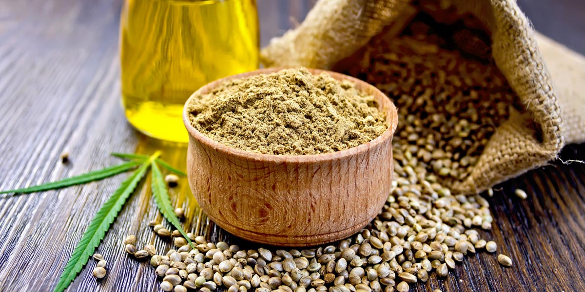 avantages de la poudre de protéines de chanvre