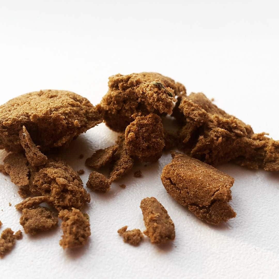 elite cup 2017 la compétition 420 à amsterdam 16