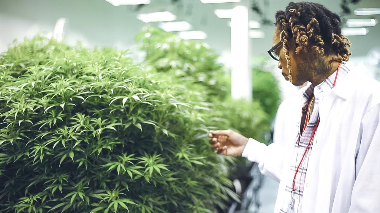 les 5 idées reçues sur la culture à la maison 12