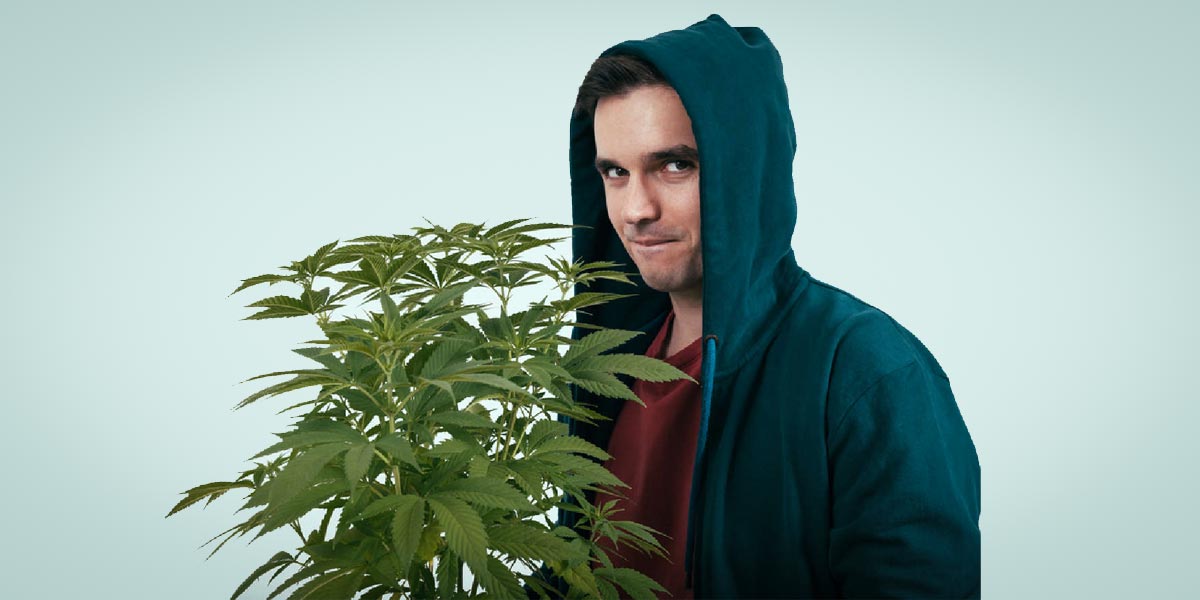 les emplois de l industrie du cannabis au canada 9