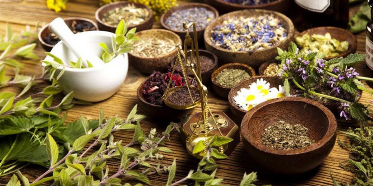 les terpènes du cannabis 15