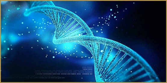 L'utilisation du cannabis dépend de votre ADN