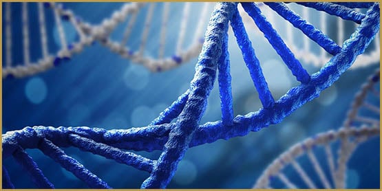 L'utilisation du cannabis dépend de votre ADN