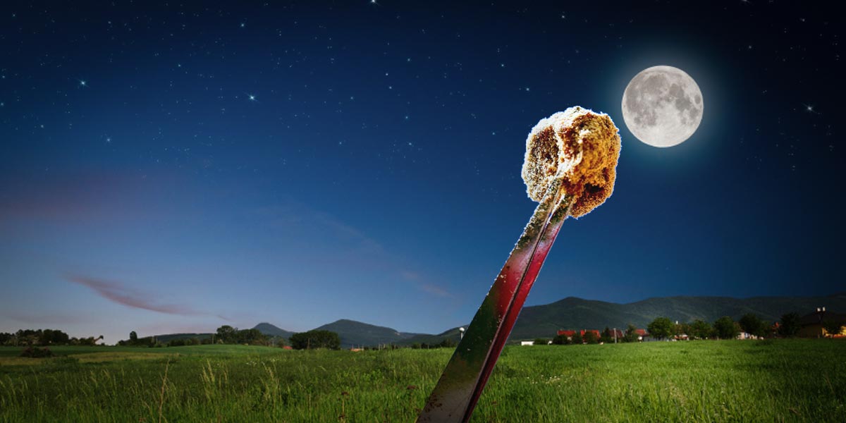 la lunar la moonrock à la française 3