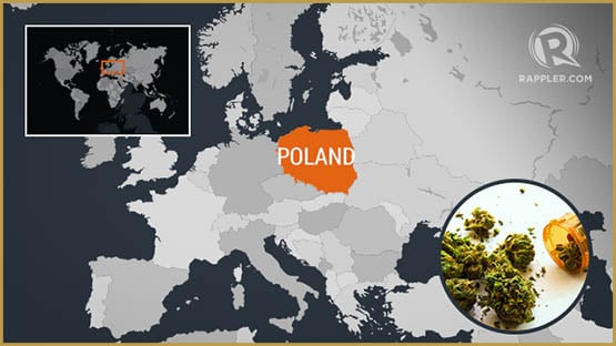 La Pologne dit oui au cannabis médical