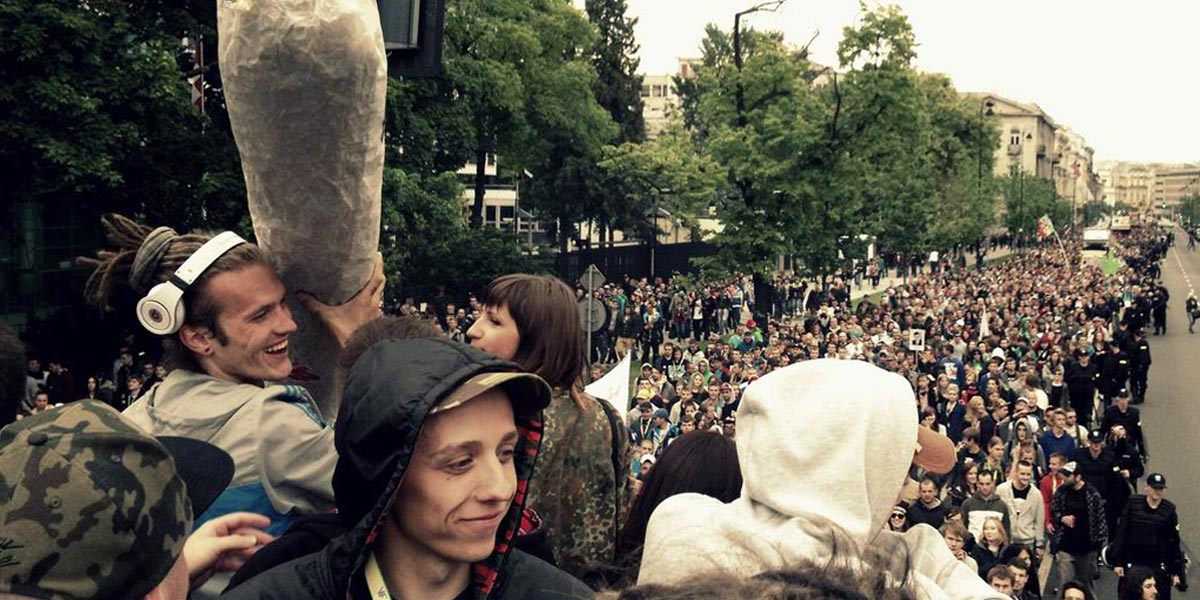 la pologne dit oui au cannabis médical 8