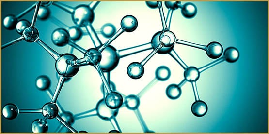 Le 2-AG, le cannabinoïde du corps