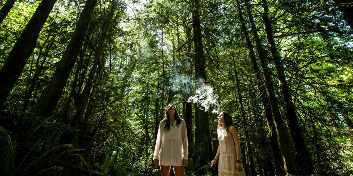 campagne de la green party en nouvelle zélande