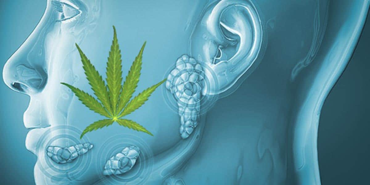 faire face au syndrome mineur de la bouche sèche 2