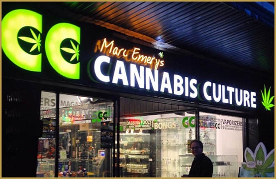 La fermeture des dispensaires augmente la criminalité