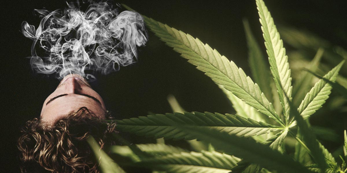 le cbd aide à stopper la cigarette 4