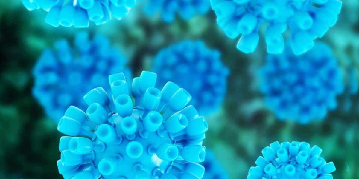 le cbd inhibe le virus de l hépatite c