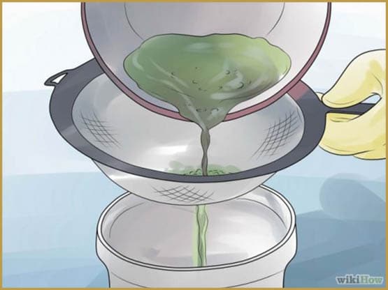 Le "High Tea", la mode du thé au cannabis