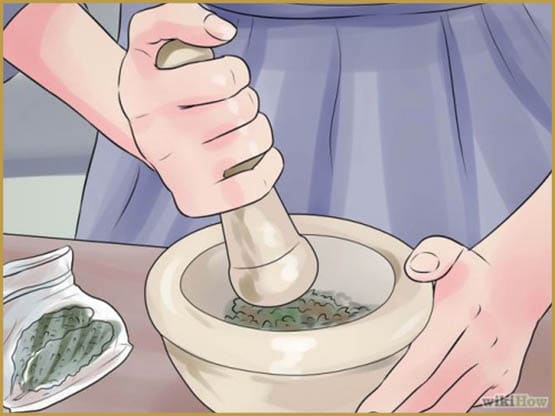 Le "High Tea", la mode du thé au cannabis