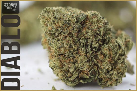 Les souches de cannabis stimulant votre appétit