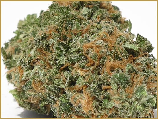 Les souches de cannabis stimulant votre appétit