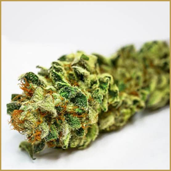 Les souches de cannabis stimulant votre appétit