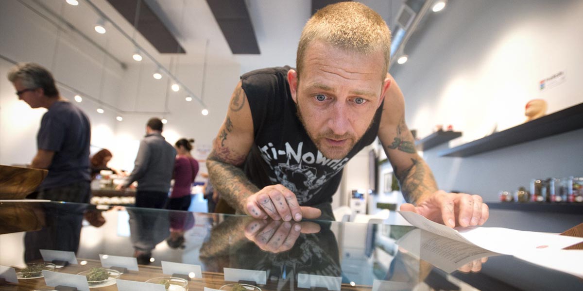 les souches qui ont révolutionné la culture intérieure 12