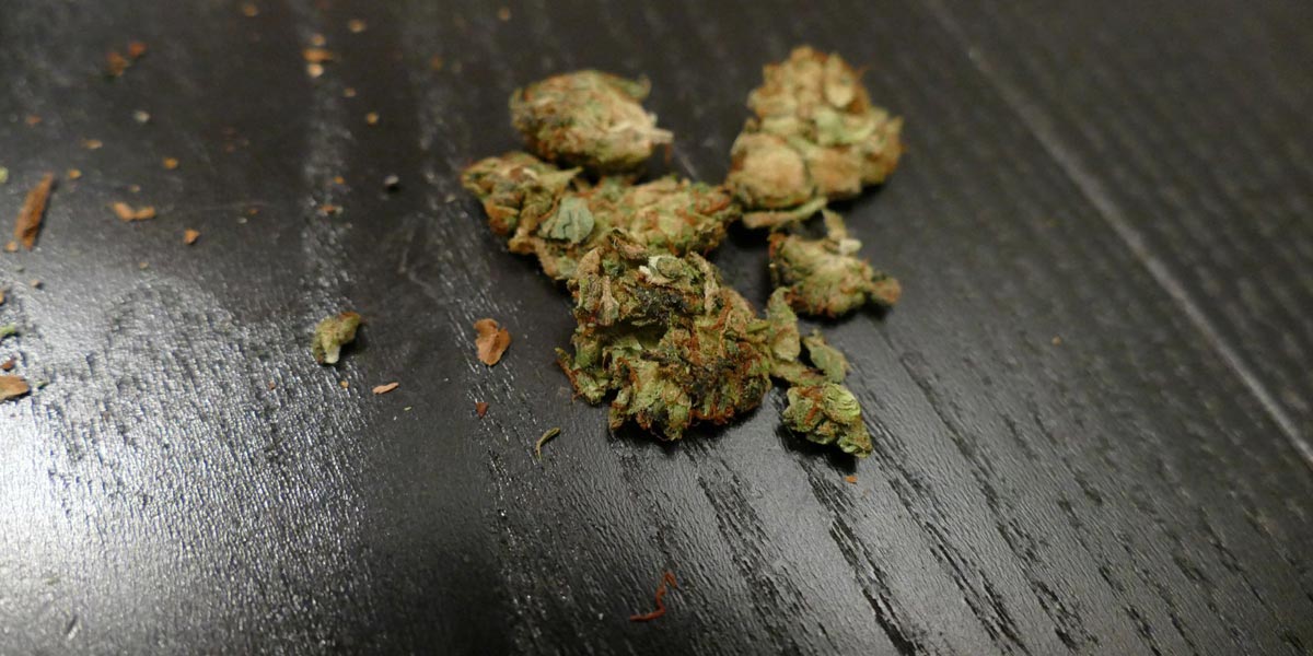 réduire stopper la consommation en cas de pénurie 13