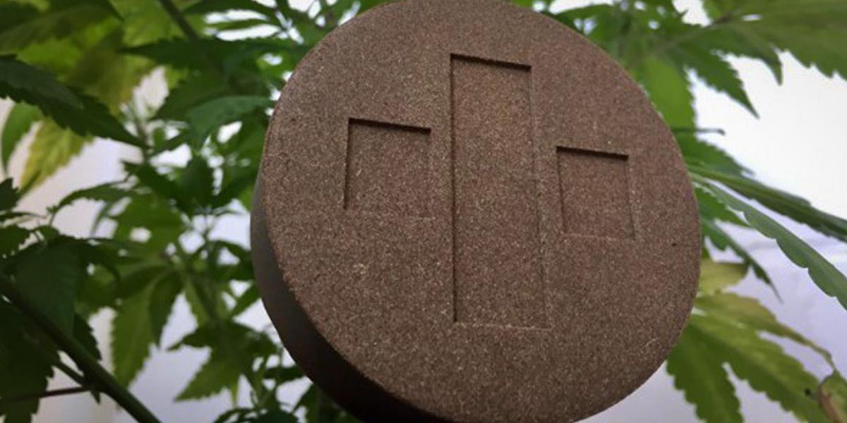 le premier haschich légal au monde à 60 de cbd