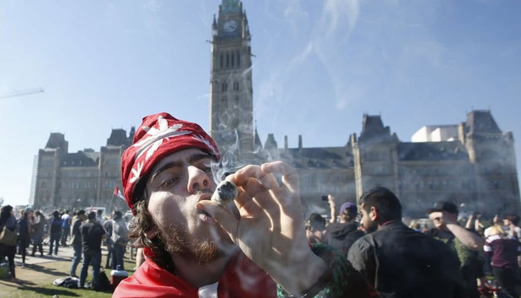 près de 26 de la population du canada consomme du cannabis