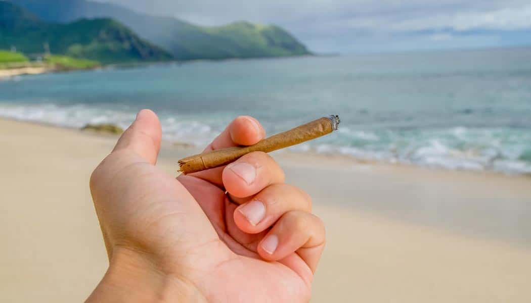 les californiens pourront fumer et vapoter en plein air 5