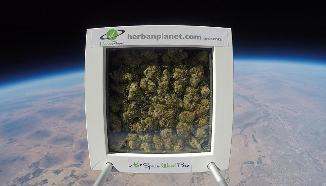 space weed bro le premier bud intergalactique