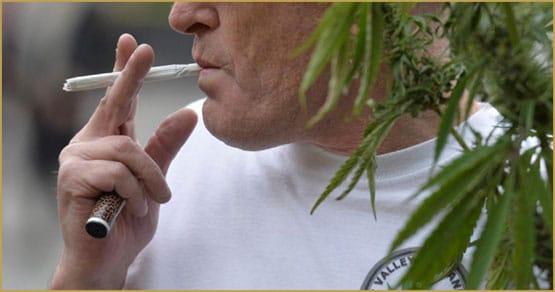 Tea Party,parlement,anglais,manifestation