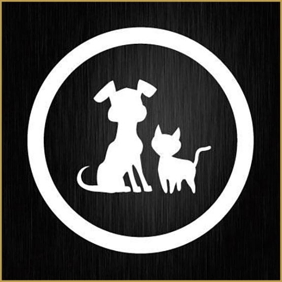 VetCBD une huile hautement CBD pour animaux