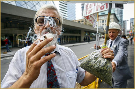 légalisation,consommation,légalisation,adultes