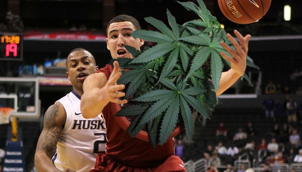 les consommateurs de cannabis et la culture sportive