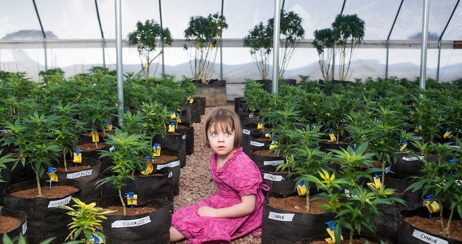 le cannabis médical pour les enfants 3