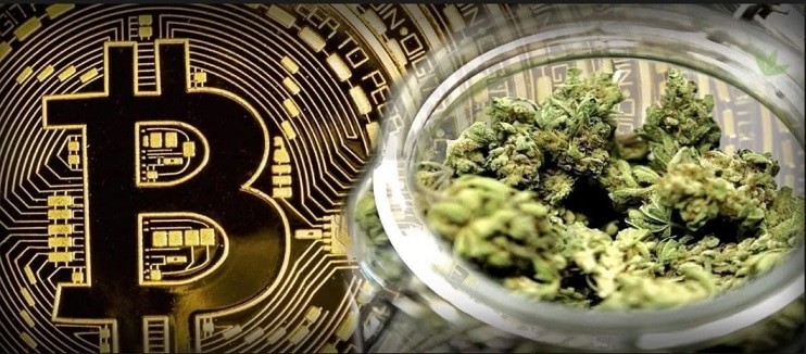 investissement en bourse le cannabis plus sûr que le bitcoin