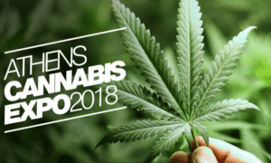 cannabis medical