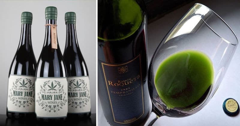 le vin au cannabis possède une caractéristique unique 5