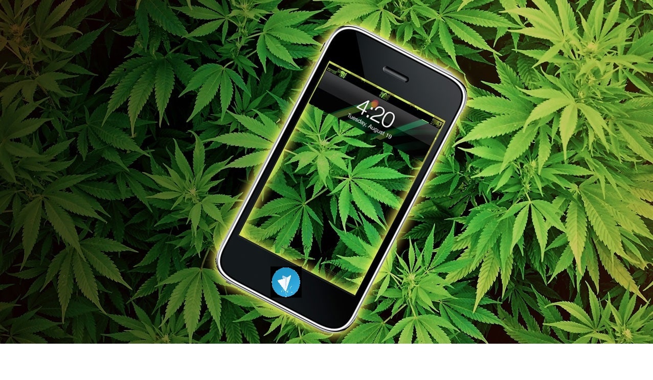 telegrass le supermarché du cannabis 4