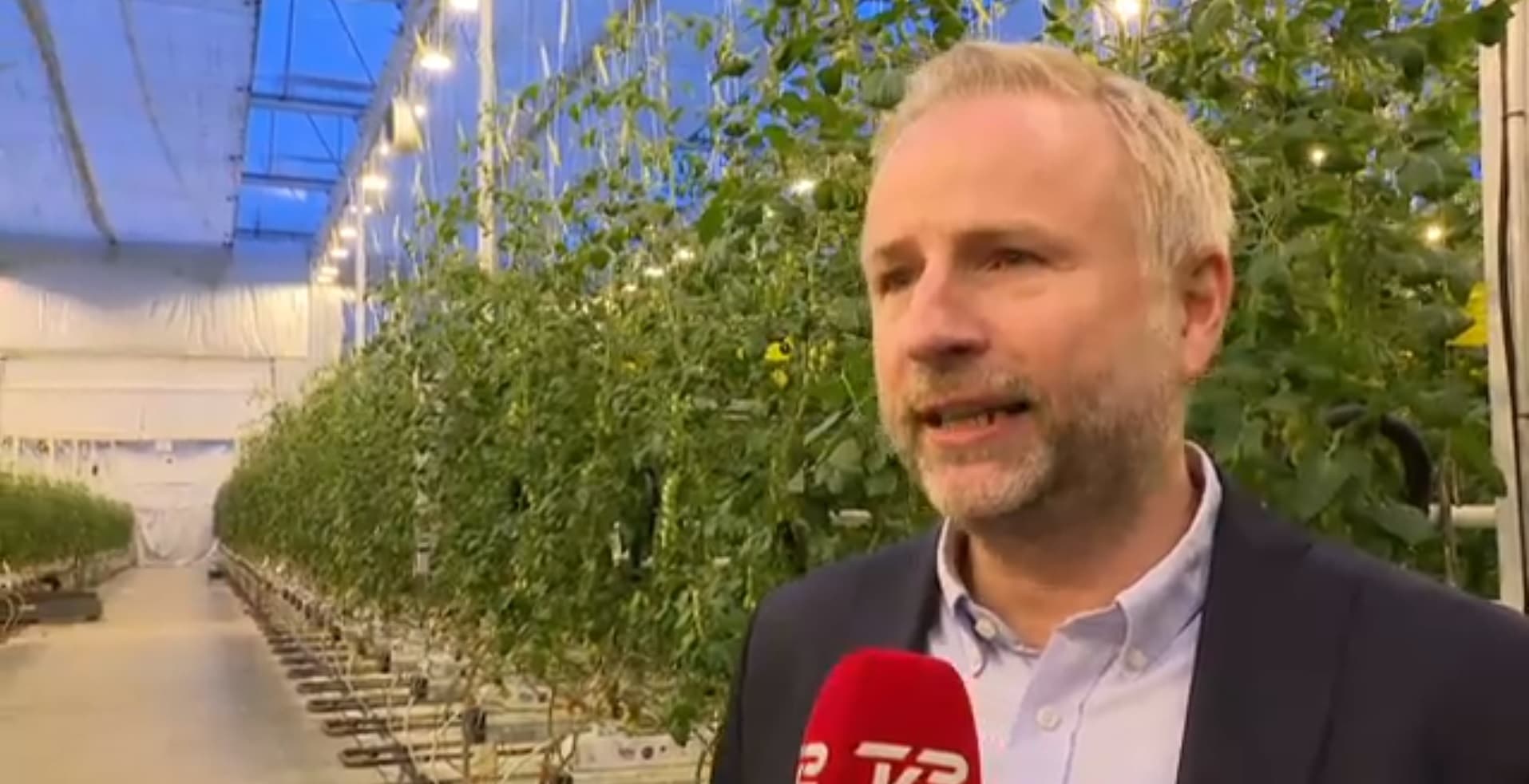 un cultivateur de tomates danois veut devenir le plus grand producteur européen