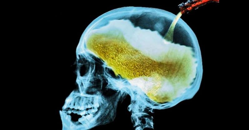 cannabis contre alcool pourquoi le plus dangereux des deux est légal