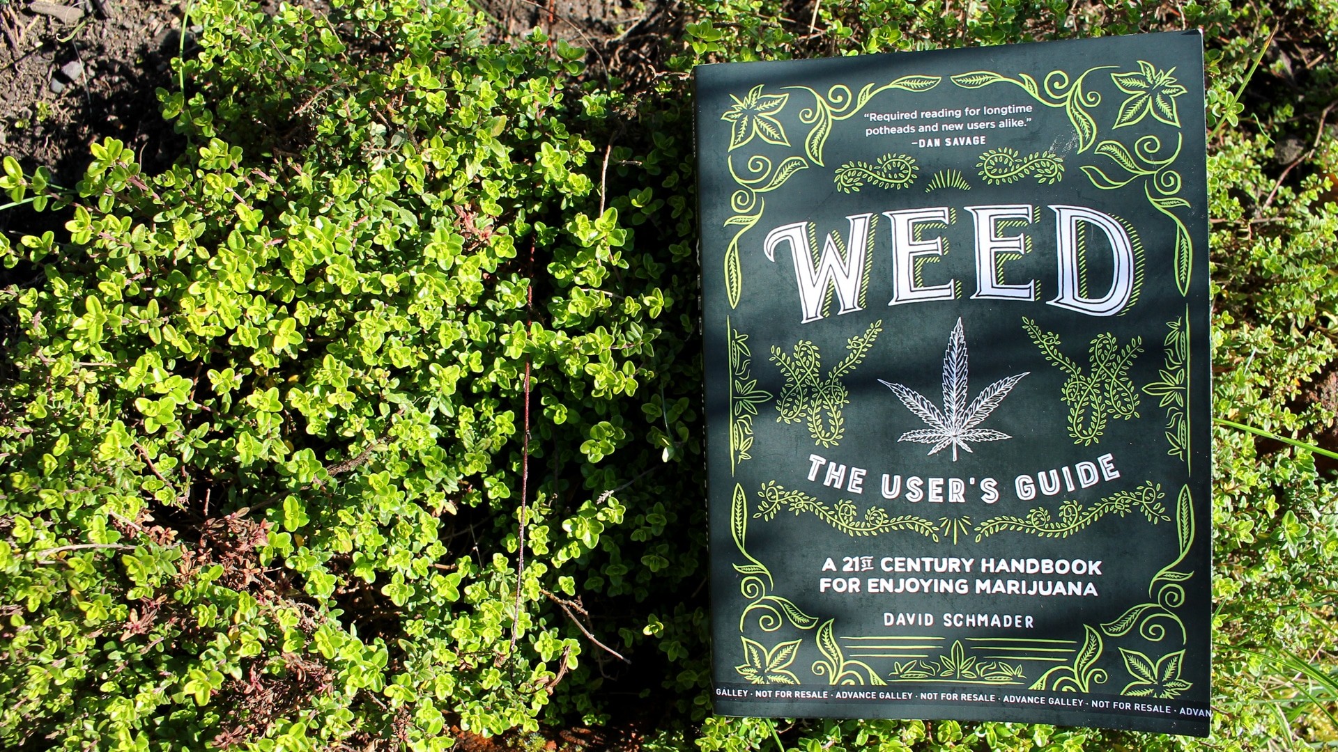 des livres pour enfants sur la weed