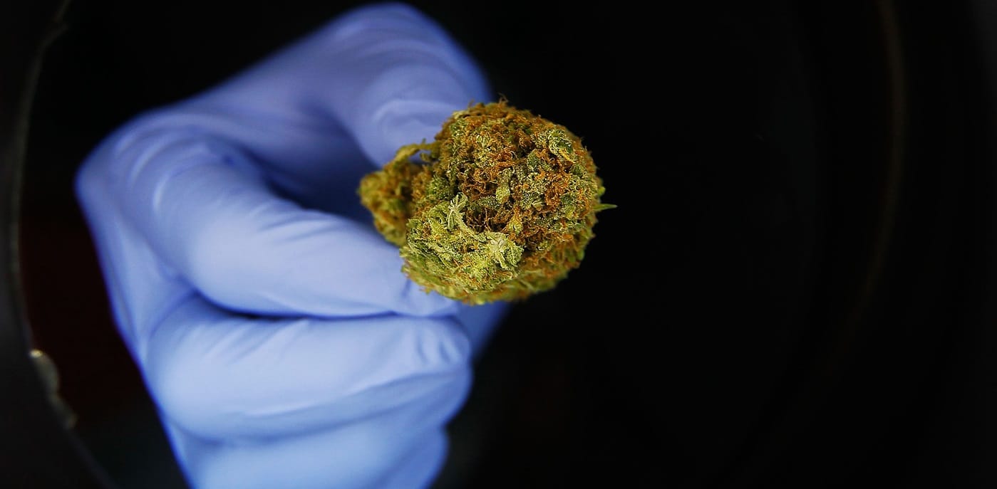 l efficacité du microdosage