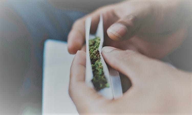 le cannabis addictif ou pas