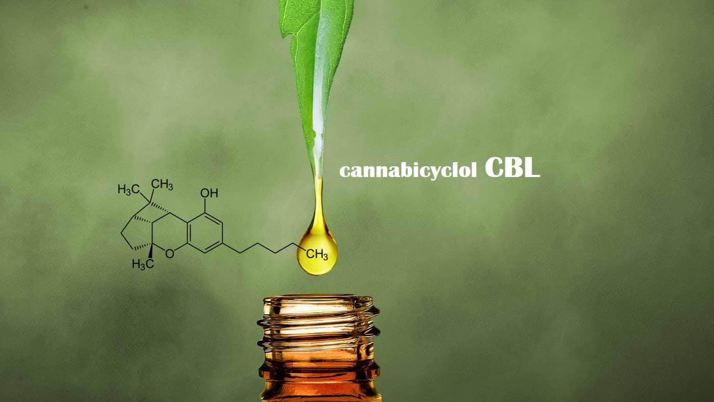 qu est ce que le cbl