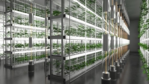 cannatech à tel aviv 6 inventions à découvrir