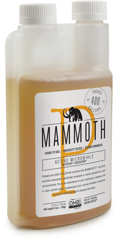 cannatech à tel aviv 6 inventions à découvrir