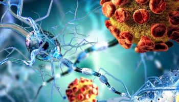 lorsque la neuroscience s intéresse au cannabis