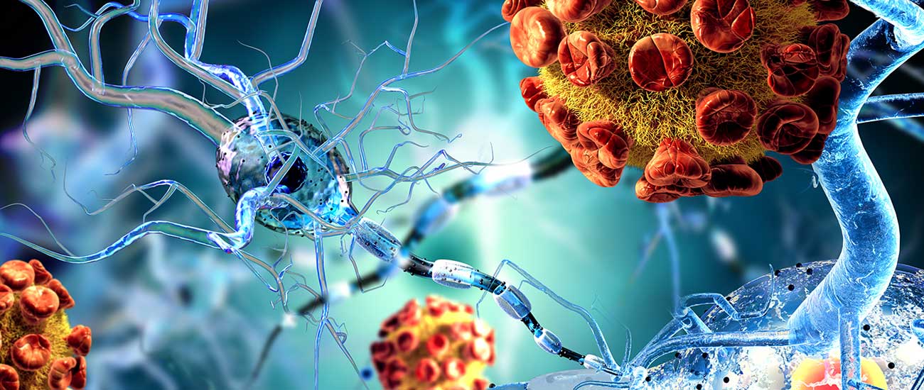 lorsque la neuroscience s intéresse au cannabis